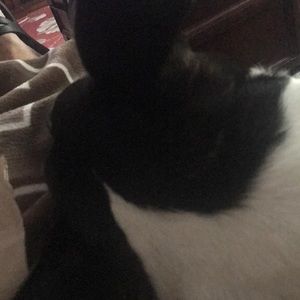 Meet your Posher, Debra